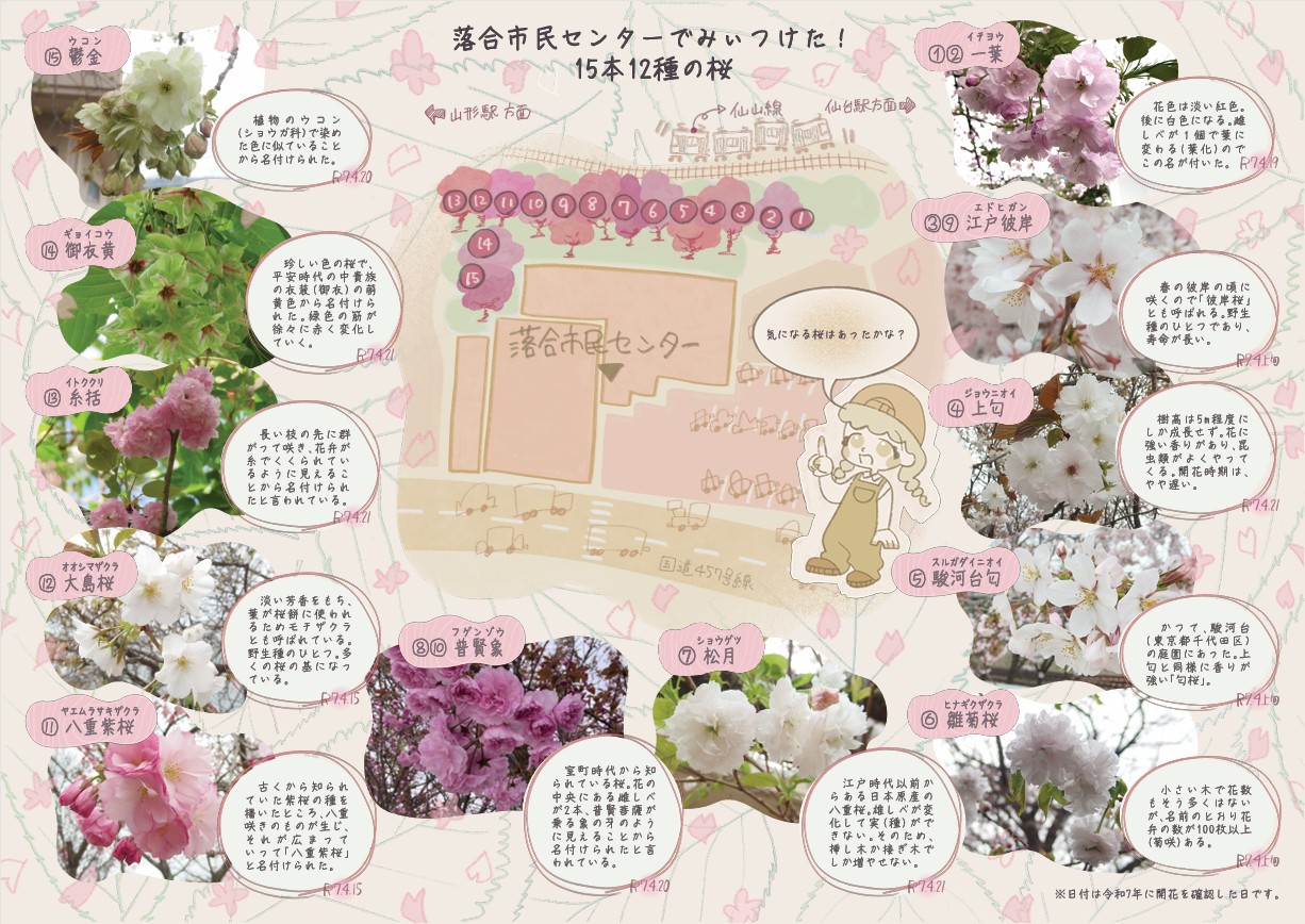 落合市民センターの桜紹介リーフレット裏