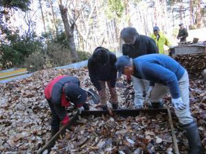落ち葉の様子をみています
