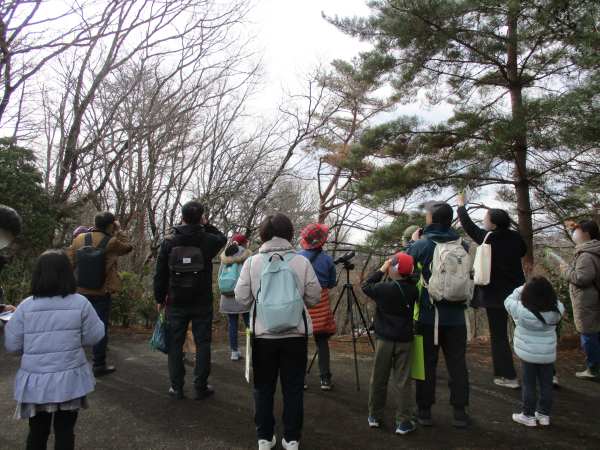 野鳥観察会の様子