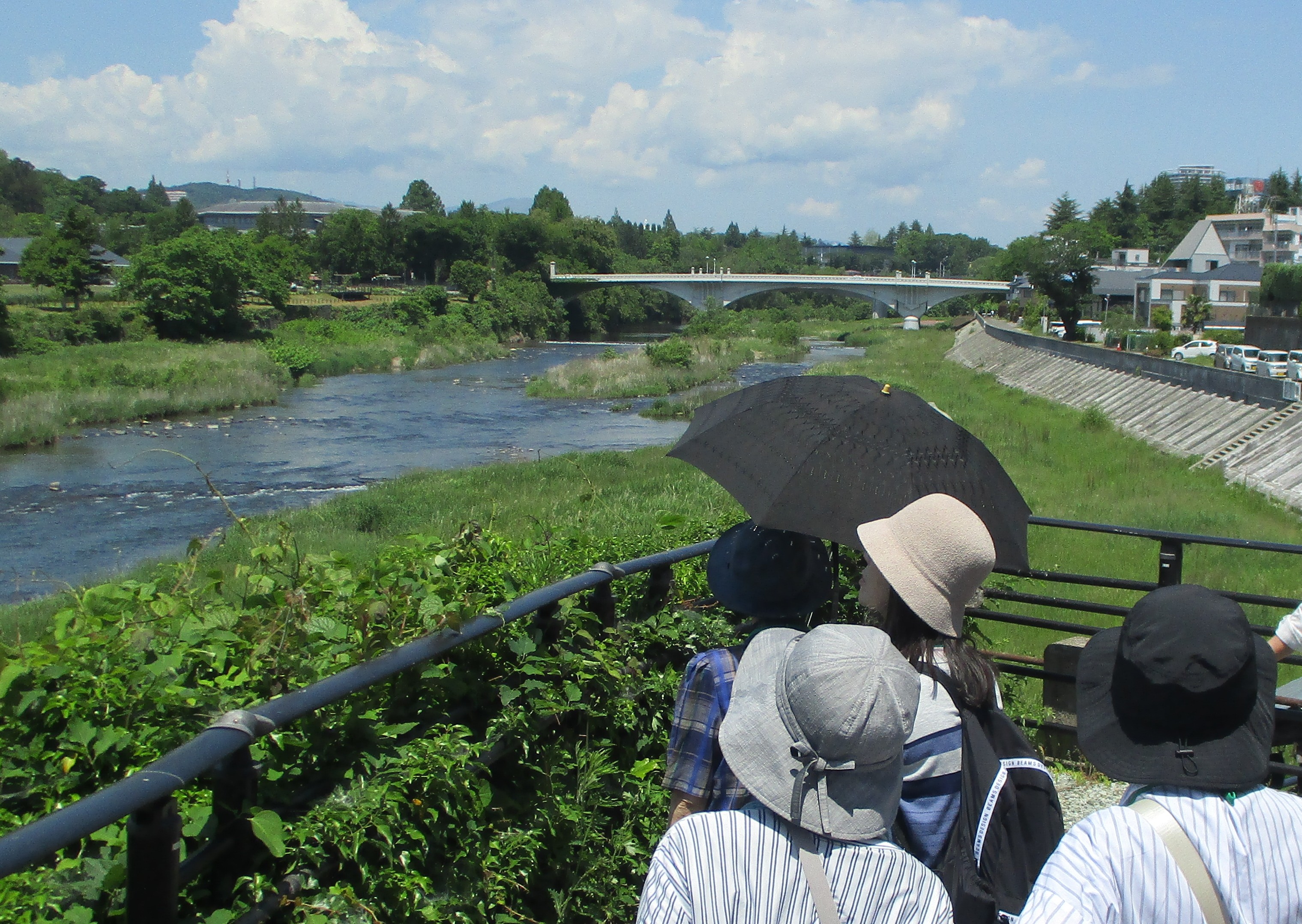 広瀬川界隈ぶらり散歩
