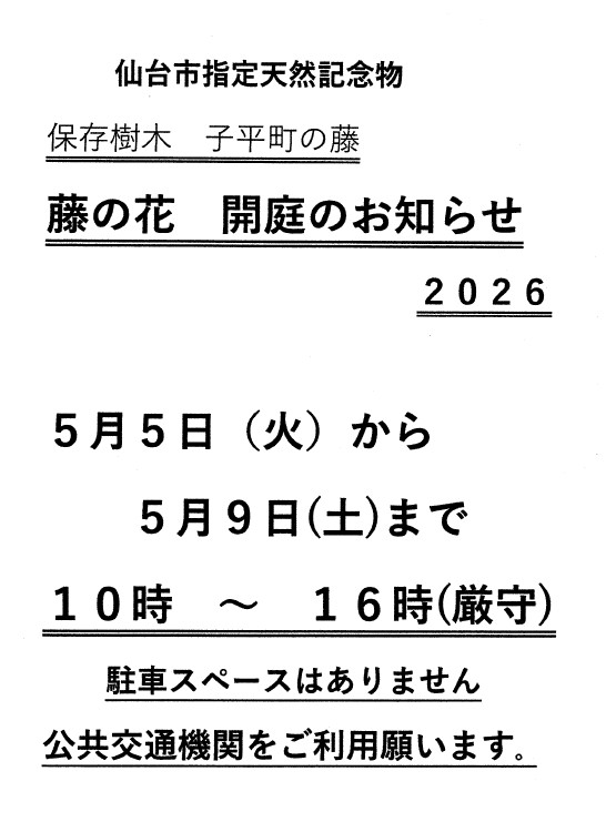 子平町の藤2026年スケジュール