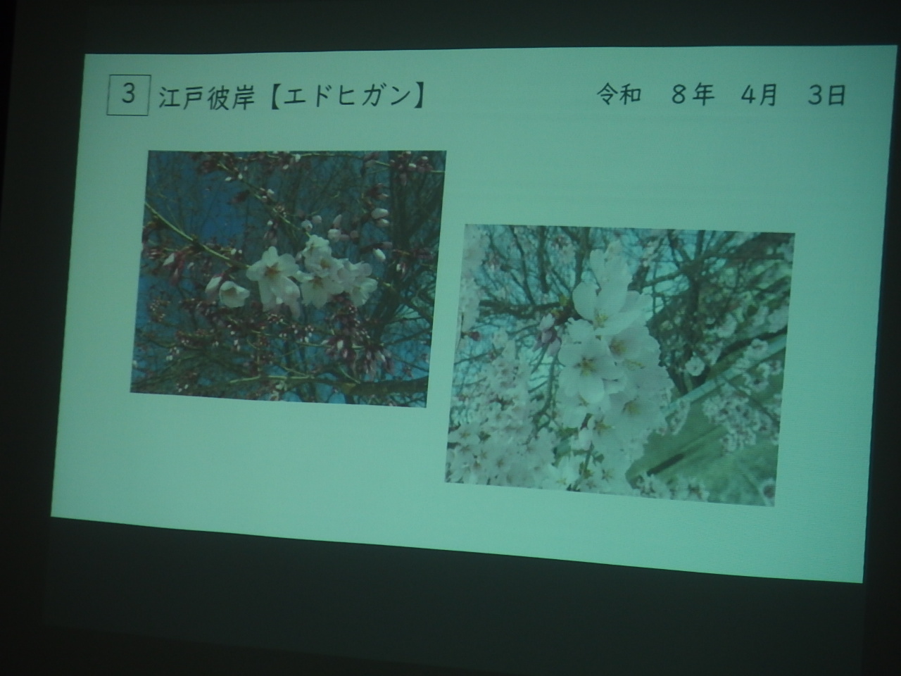 おらがまちR80410_2