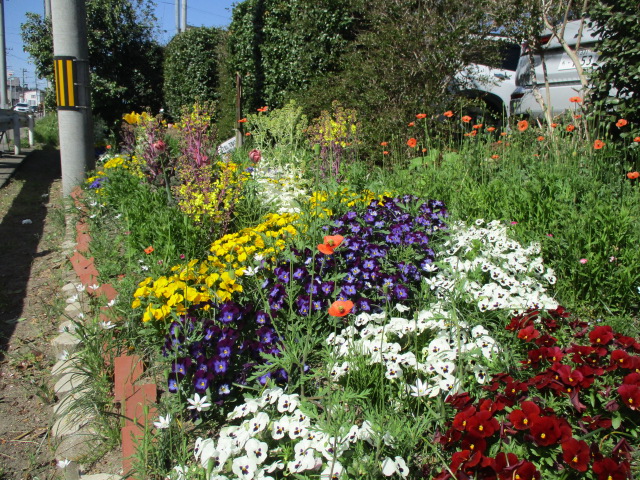 バス停前花壇写真2