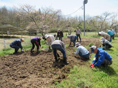 畑の除草を行いました