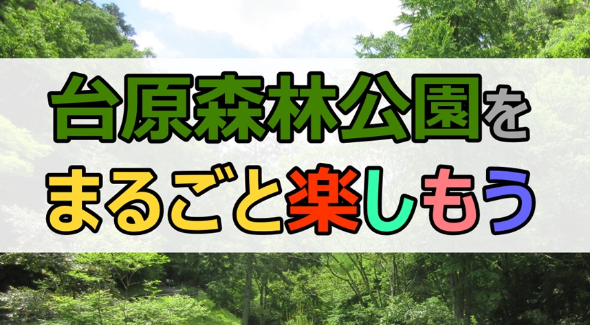 台原森林公園をまるごと楽しもう令和8年度トップ