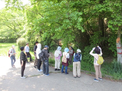 台原森林公園2