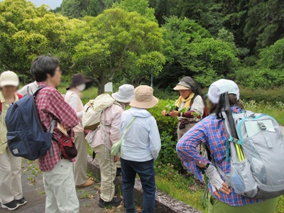 台原森林公園3