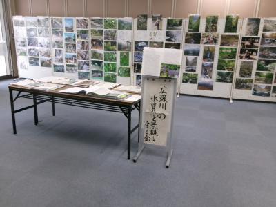 広瀬川1