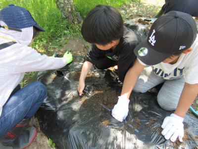 植える場所の土を掘ります