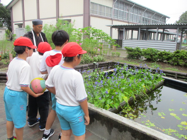 陽だまりの池