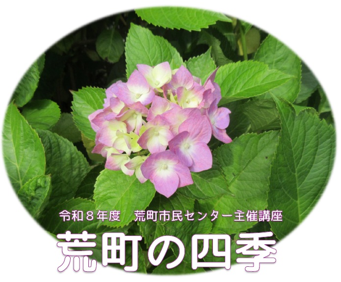 荒町の四季