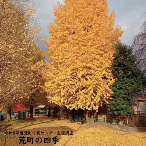 荒町公園