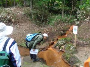 弁財天の小川