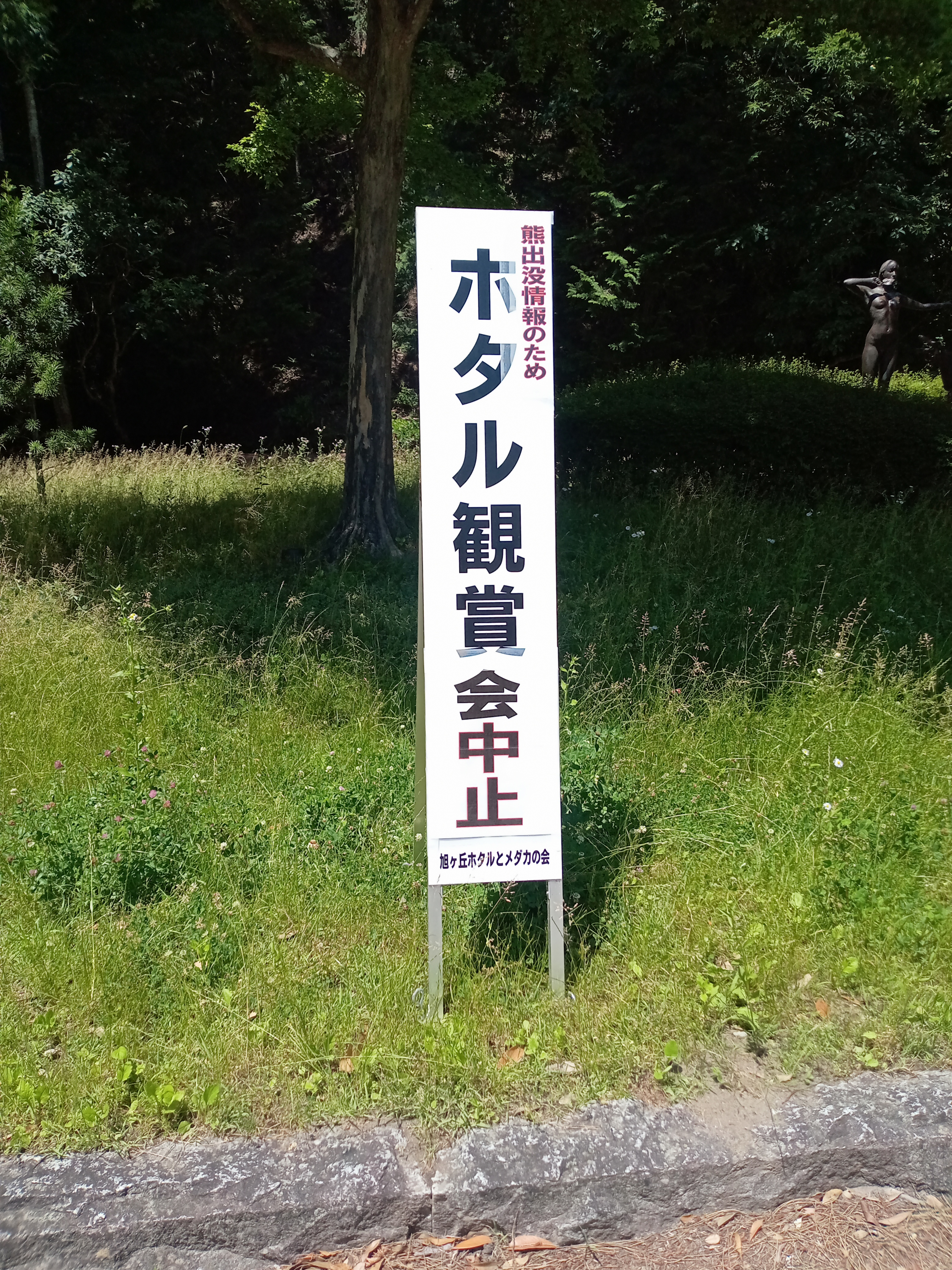 ホタル観賞会中止