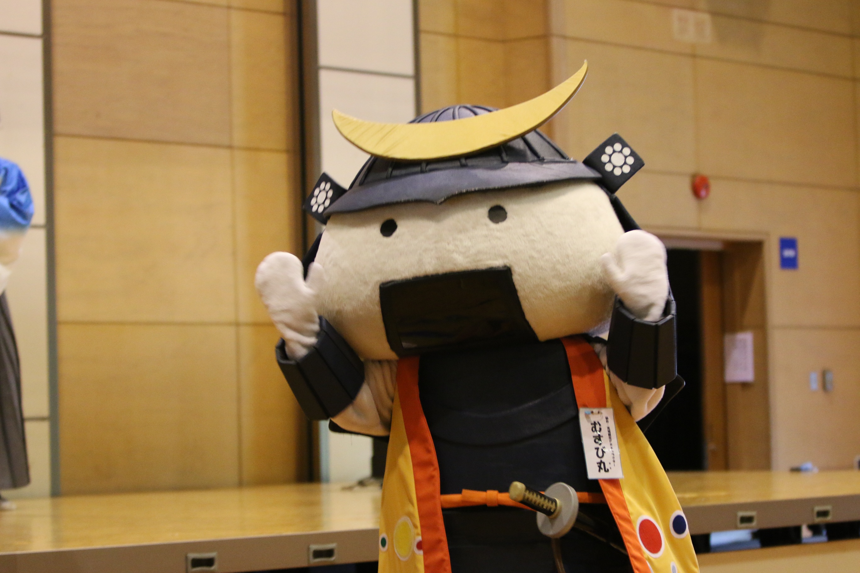 nanohana004