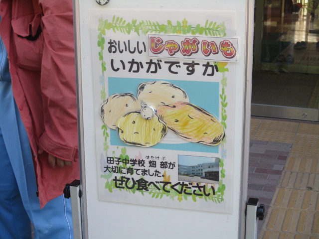 田子中学校野菜販売1