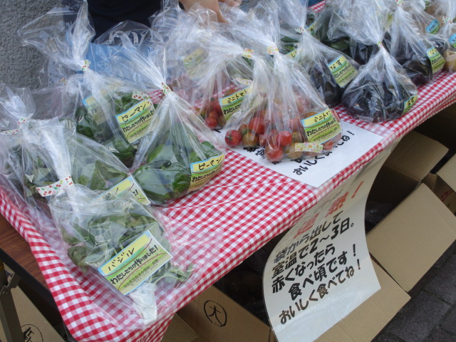 田子中学校野菜販売3