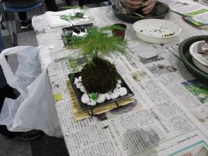 完成こけだま