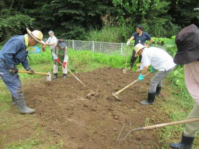 ブロッコリー定植場所を耕しています