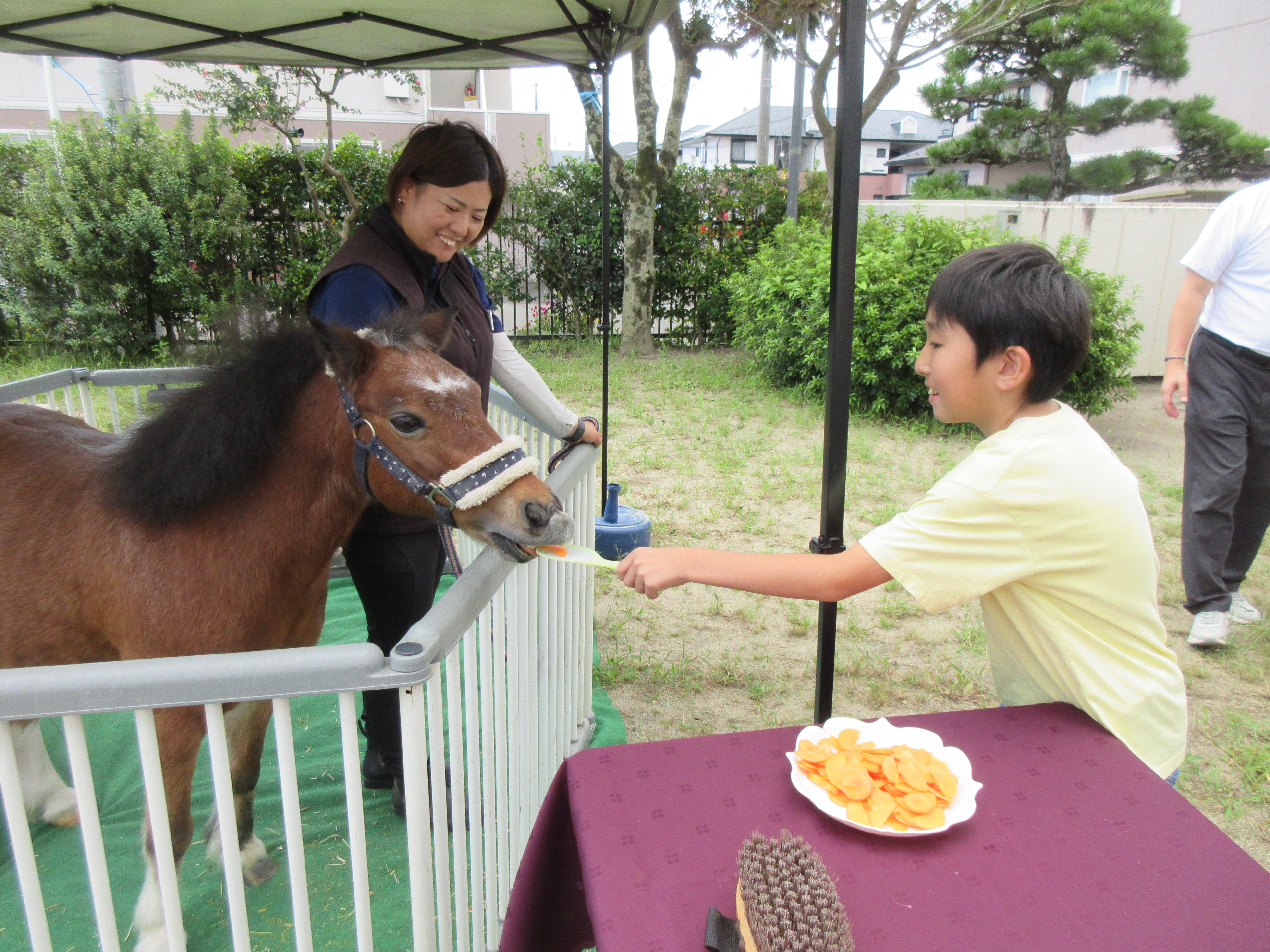 にんじん