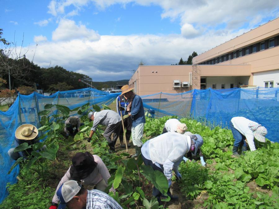 秋晴れの下畑作業を行いました
