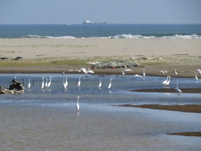 海岸風景