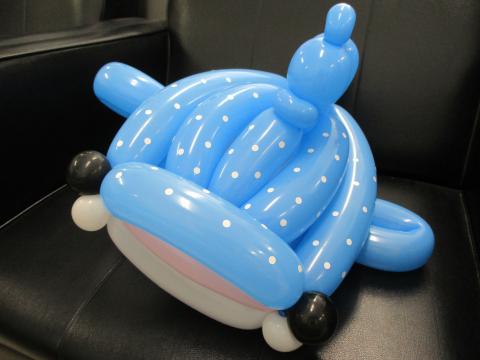 ジンベエザメ