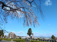 北山霊園