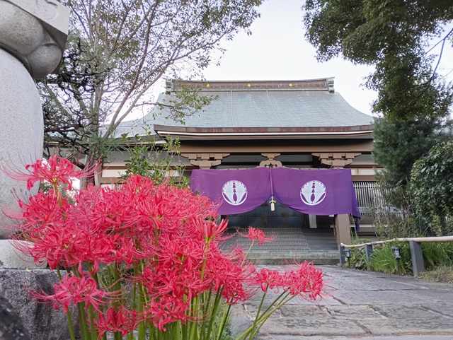 充國寺と彼岸花