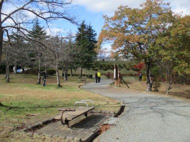 11月10日高森東公園で写真撮影