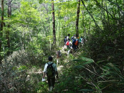 青葉山・八木山フットパスの会写真