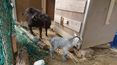 東北工業大学ながまちぶろぐ写真