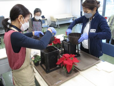 バランスに気を付けて植え付けます。