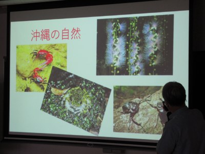 講師の方が撮影した沖縄の動植物の紹介