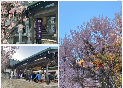 令和4年 田子地域 神社 春の例大祭を取材させていただきました。　