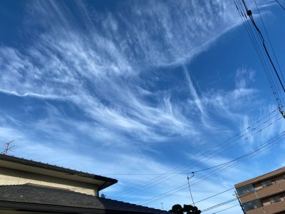 田子から見た秋の雲2023