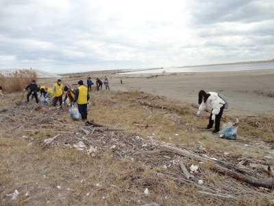 海岸にも漂着したゴミなどがいっぱい