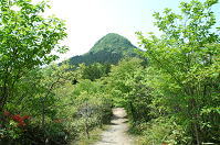 太白山自然観察の森写真