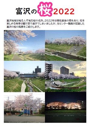 富沢の桜2022