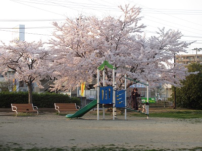 富沢南1丁目南公園の春の夕暮れです。