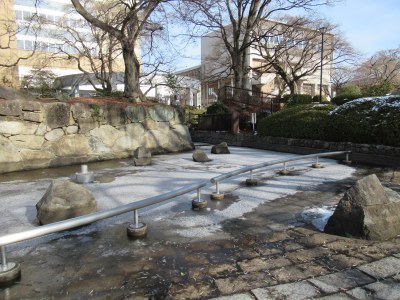 ふるさと広場の池も凍りました