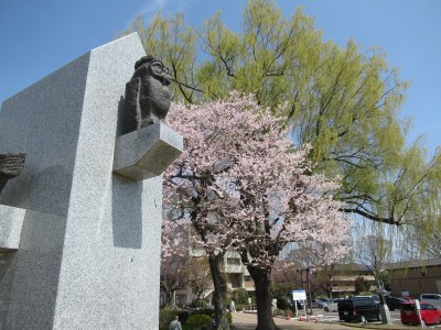 ふるさと広場の桜と柳